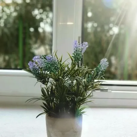 דירה Marija Magdalena