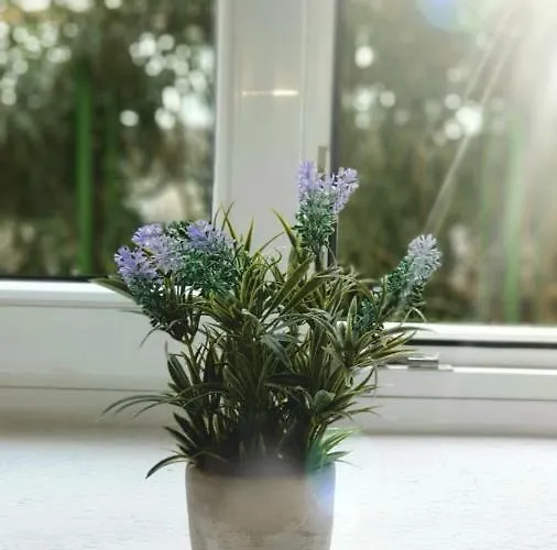 Апартаменты Marija Magdalena